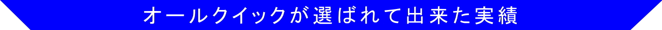 選ばれてできた実績